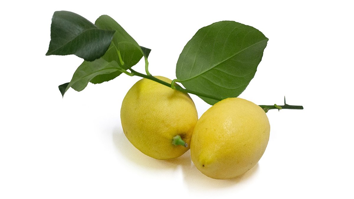 Premium Citroner Uvoksede