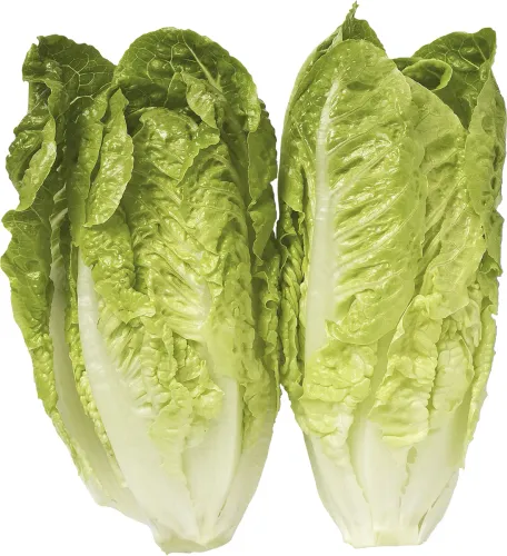 Hjertesalat KL1