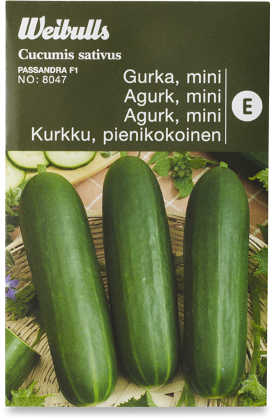 Rawa Fi Mini Agurk