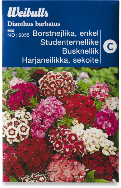 WB Studenternellike Enkelt
