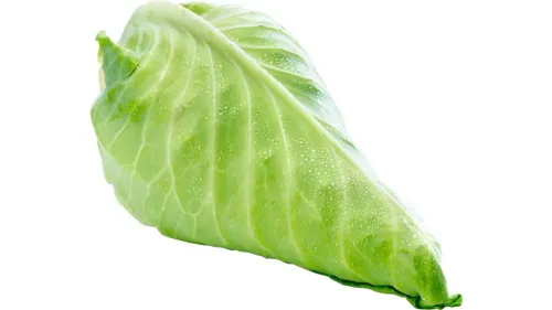 Spidskål