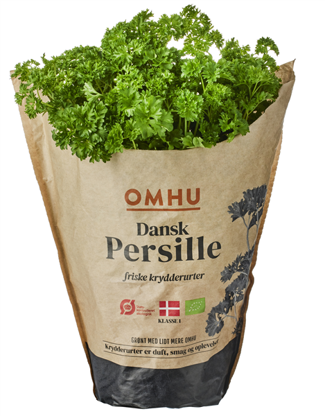 Økologisk Persille Stor