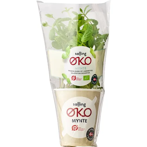 Salling ØKO, Mynte øko