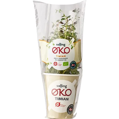 Salling ØKO, Timian øko