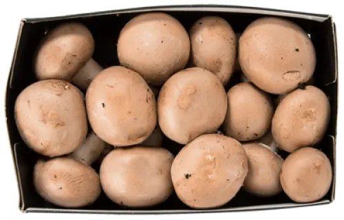 Salling ØKO Brune champignon øko 200 g