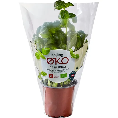 Salling ØKO, Basilikum øko