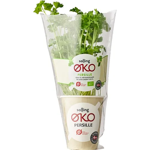 Salling ØKO, Persille øko